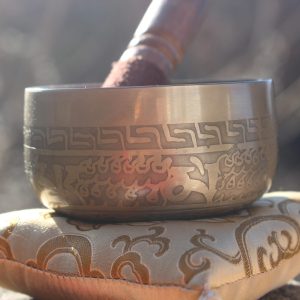 Roulotte comfort - immagine 5