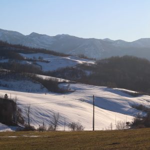 Roulotte comfort - immagine 7