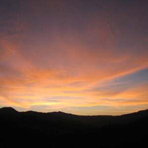 Abbonamento Praticante - immagine 3