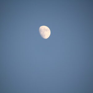 Abbonamento Praticante - immagine 2